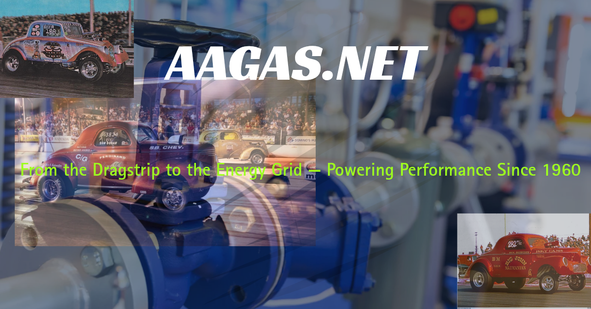 aagas.net for sale
