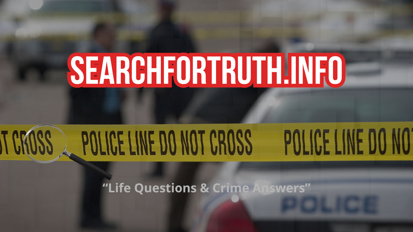 searchfortruth.info for sale